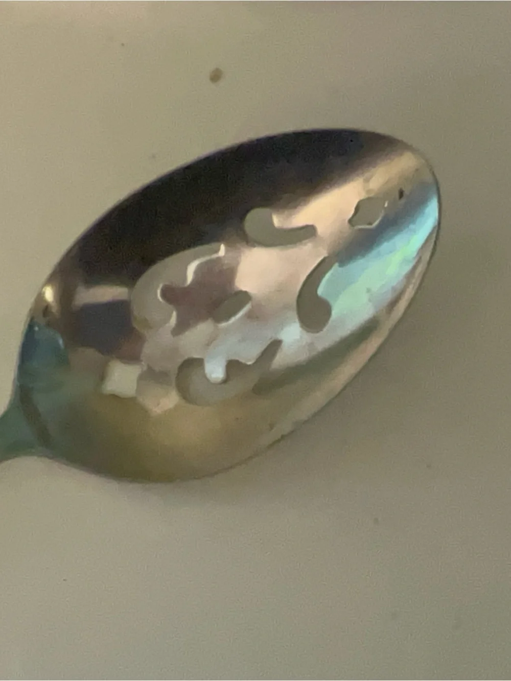 Century House (Stainless) pierced serving spoon 8.5 inches